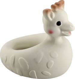 Image for Bath Toy